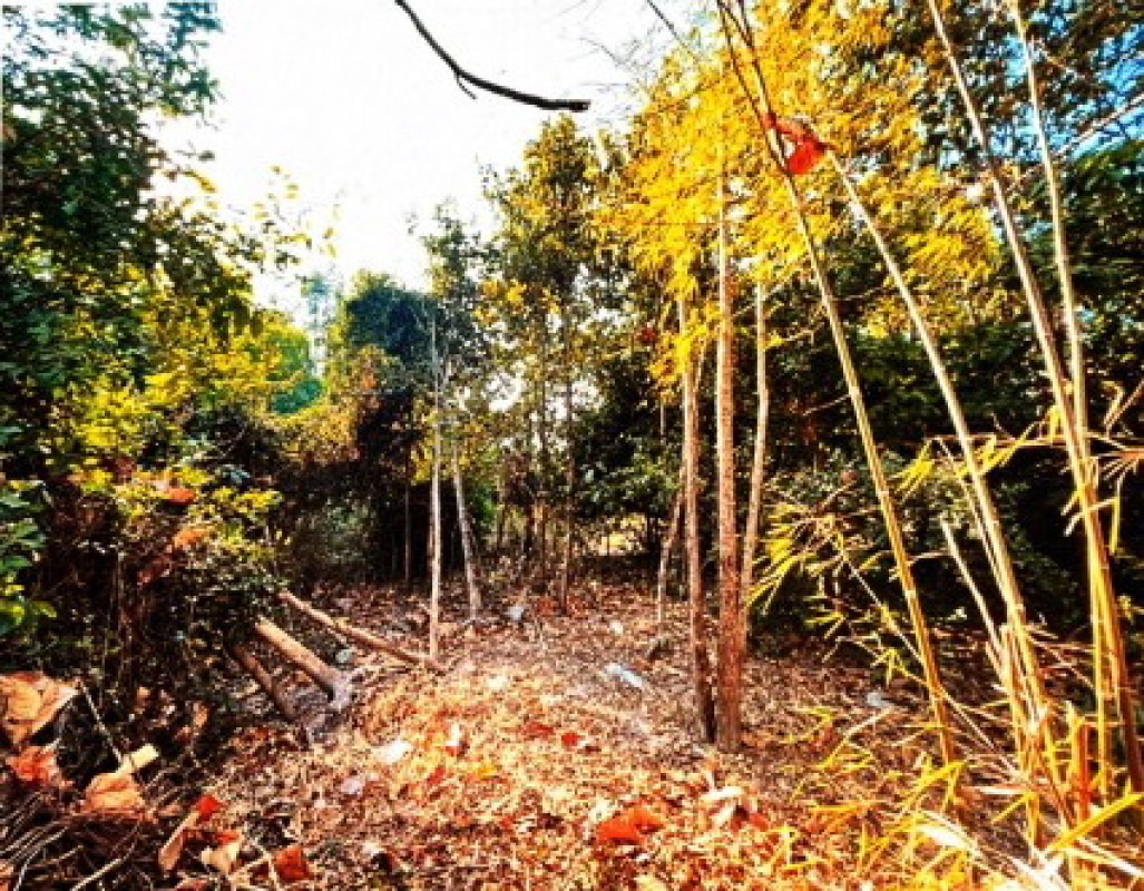 ที่ดินเปล่า กาฬสินธุ์ นามน ยอดแกง 49700
