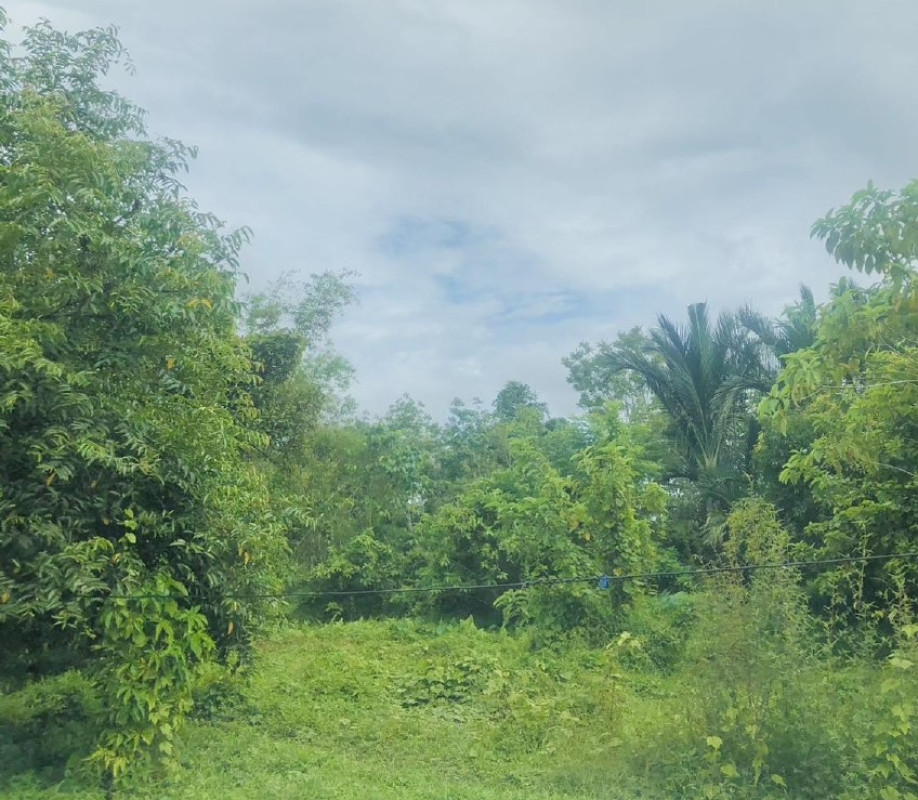 Residential land/lot Nakhon Si Thammarat Thung Song Kapang 98550