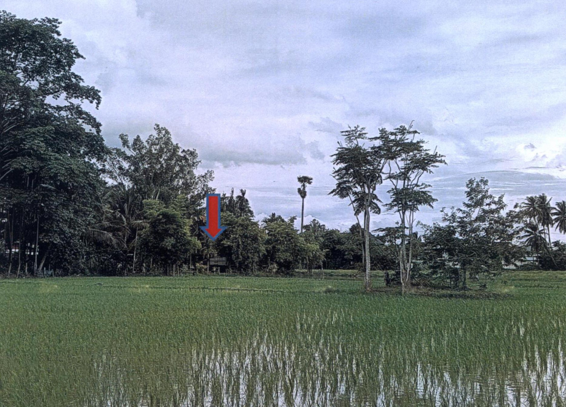 ที่ดินเปล่า ศรีสะเกษ กันทรลักษ์ น้ำอ้อม 1665300
