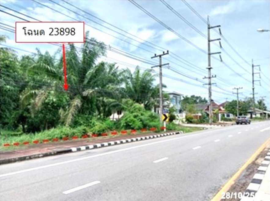 ที่ดินเปล่า ที่ดิน ประจวบคีรีขันธ์ ประจวบคีรีขันธ์ บางสะพาน พงศ์ประศาสน์ 12228000