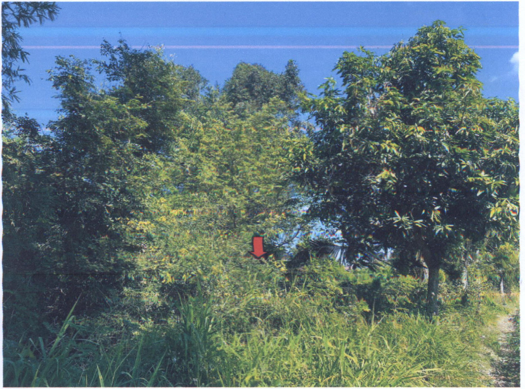 Residential land/lot Surin Tha Tum Bua Khok 41040