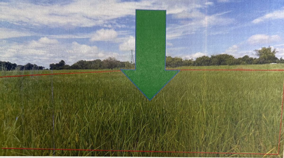 Residential land/lot Maha Sarakham Mueang Maha Sarakham Kaeng Loeng Chan 53250