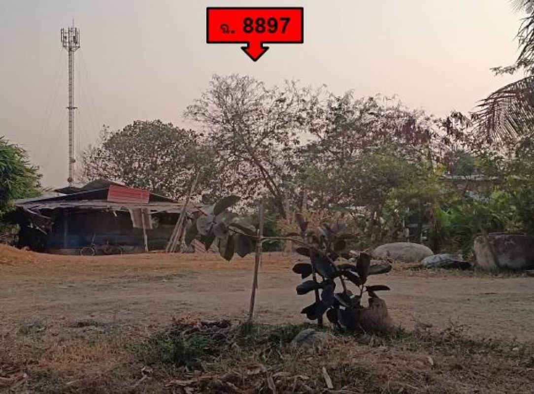 บ้านเดี่ยว บุรีรัมย์ แคนดง แคนดง 165060