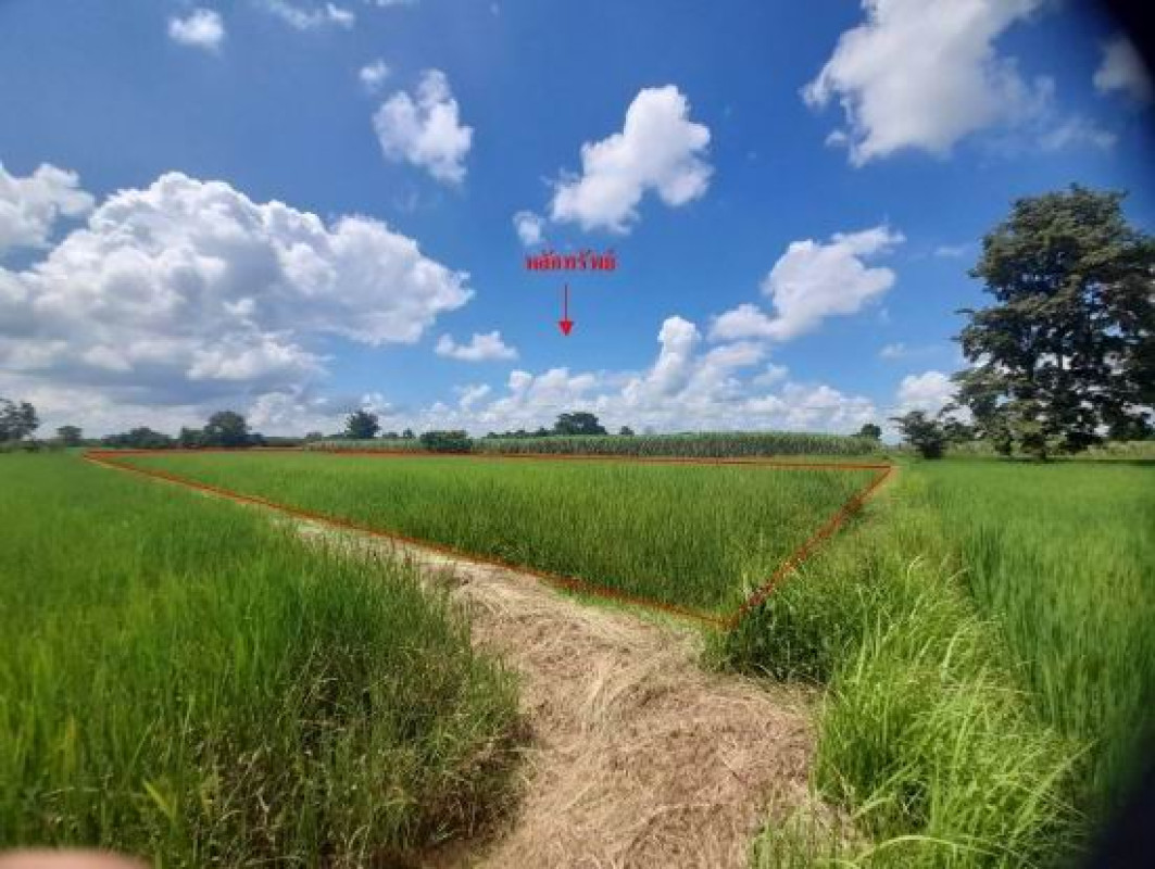 ที่ดินเปล่า บุรีรัมย์ เมืองบุรีรัมย์ กลันทา 269393