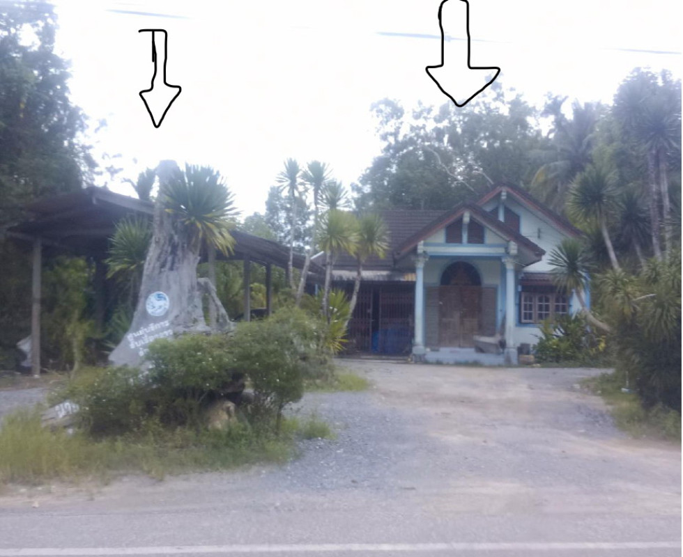บ้านเดี่ยว นครศรีธรรมราช ทุ่งสง เขาโร 551244