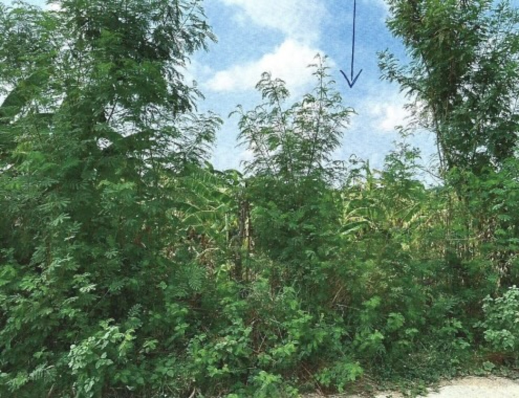 Residential land/lot Nakhon Ratchasima Phimai Chiwan 226020