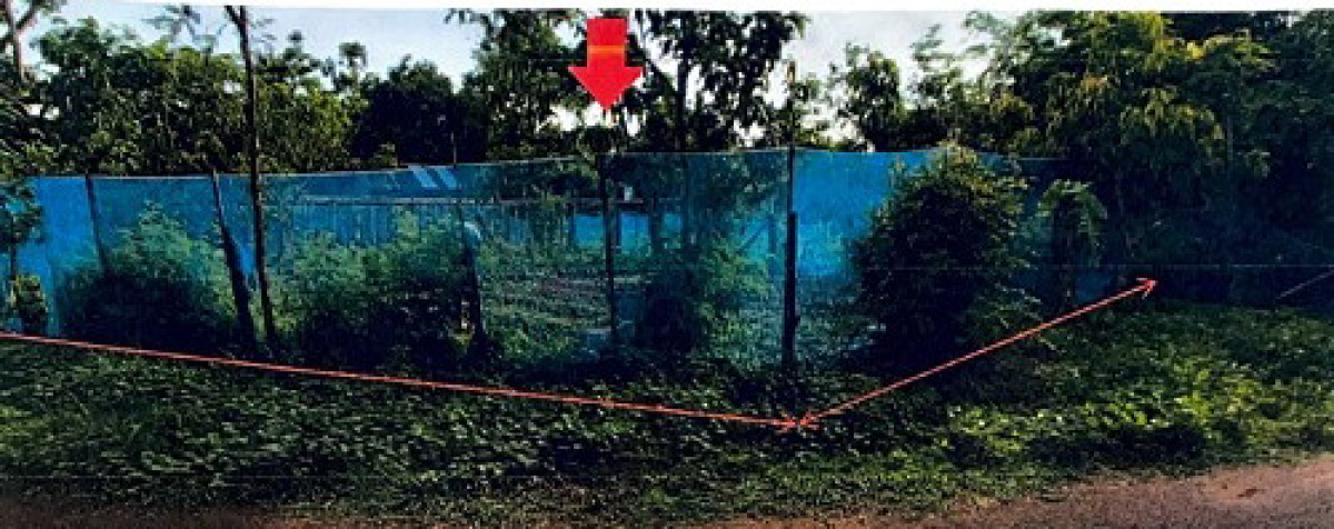 Residential land/lot Sakon Nakhon Kusuman Um Chan 33250