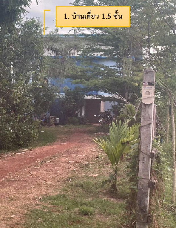 Single house Sakon Nakhon Phang Khon Rae 1251929