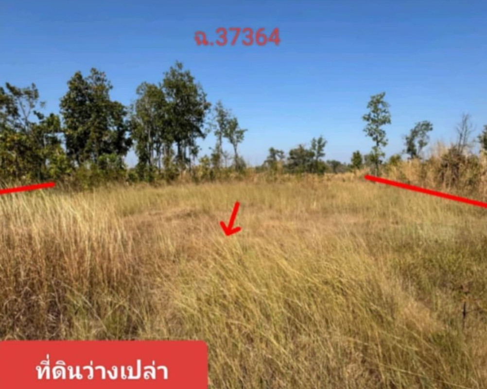ที่ดินเปล่า สกลนคร พรรณานิคม สว่าง 132440