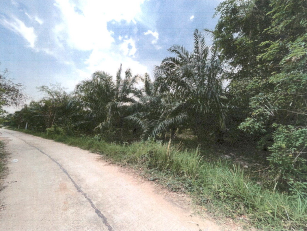 Residential land/lot Kalasin Kham Muang Noen Yang 643000