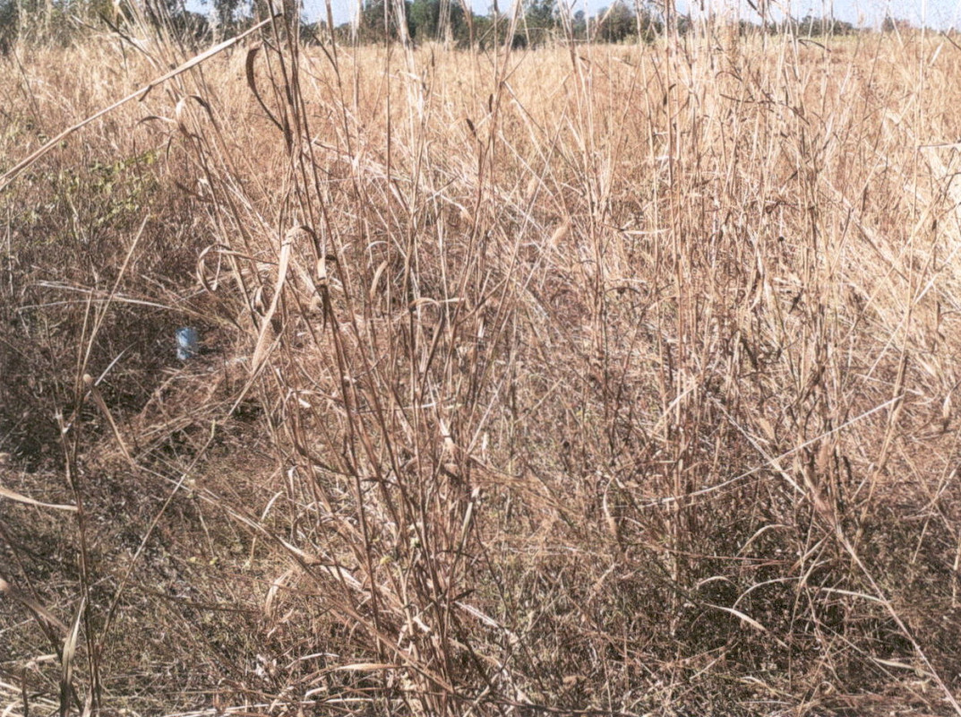 Residential land/lot Kalasin Somdet Lam Huai Lua 1018000