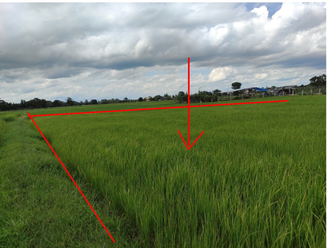 Residential land/lot Buri Ram Prakhon Chai Tako Taphi 323350