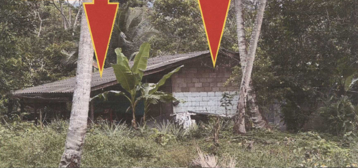 บ้านเดี่ยว สุราษฎร์ธานี เกาะสมุย ลิปะน้อย 767830