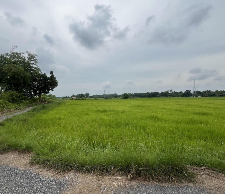 Residential land/lot Maha Sarakham Chiang Yuen Ku Thong 197000