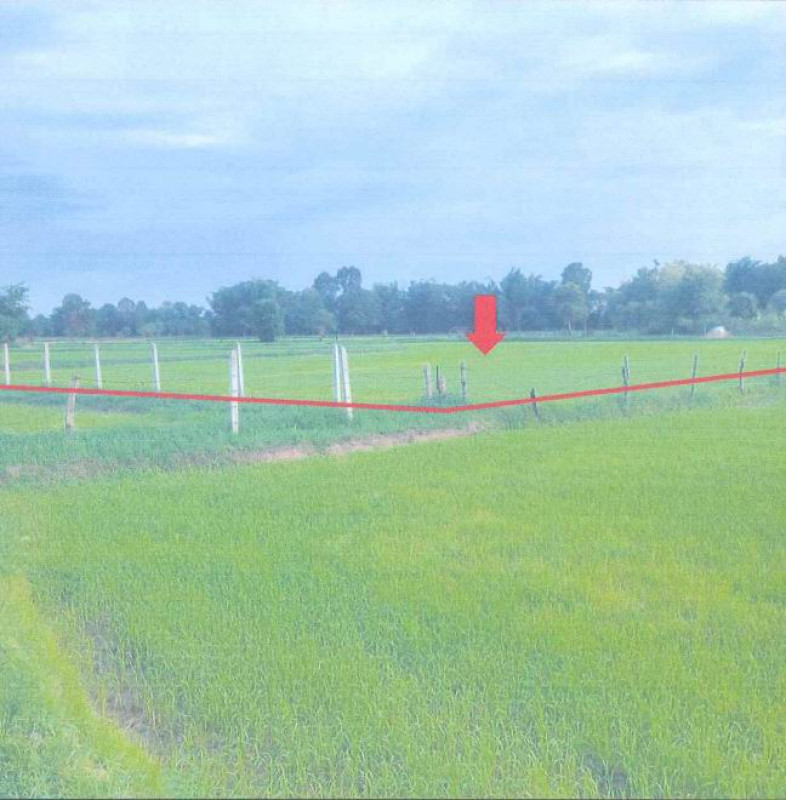 Residential land/lot Ubon Ratchathani Trakan Phuet Phon Saphue 227250