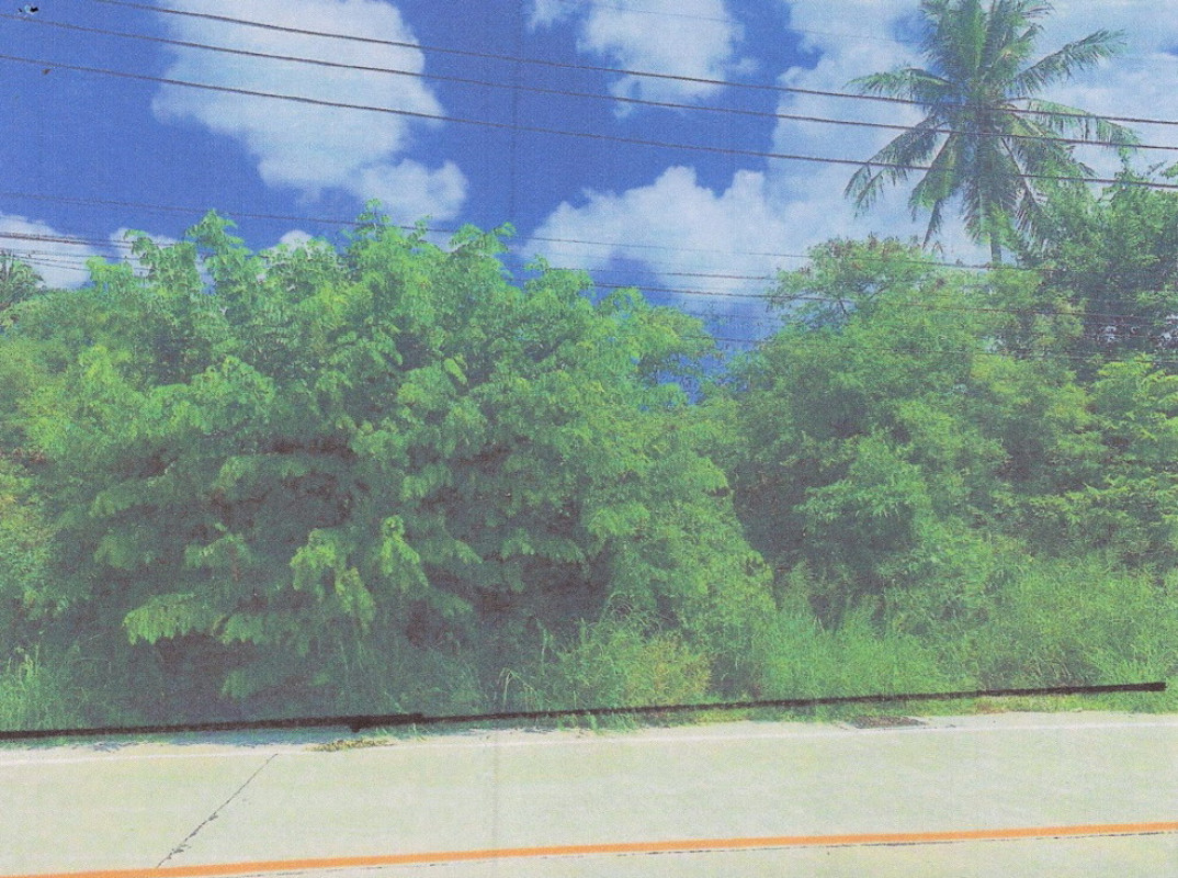 Residential land/lot Chon Buri Si Racha Nong Kham 80000