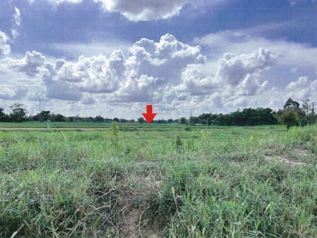 Residential land/lot Kalasin Yang Talat Na Di 280000