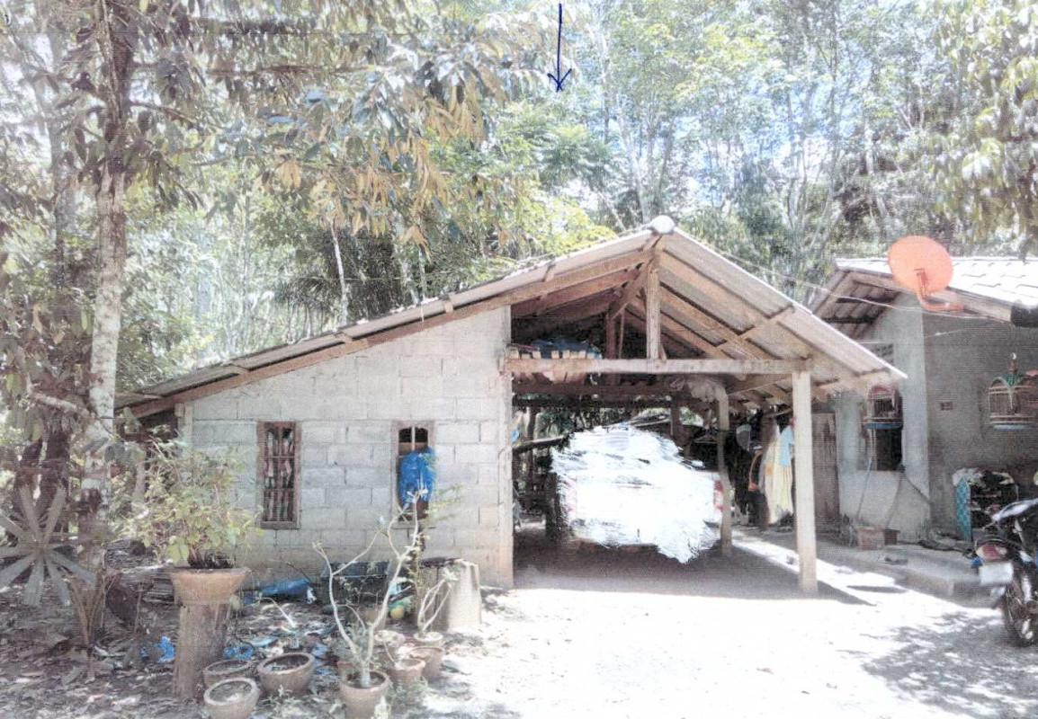 บ้านเดี่ยว นครศรีธรรมราช บางขัน บ้านนิคม 456150