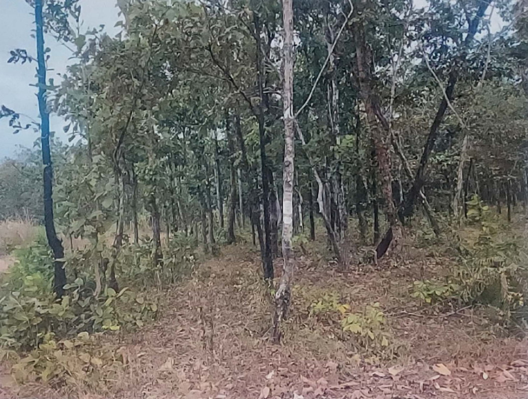 Residential land/lot Sakon Nakhon Kusuman Na Pho 2018070