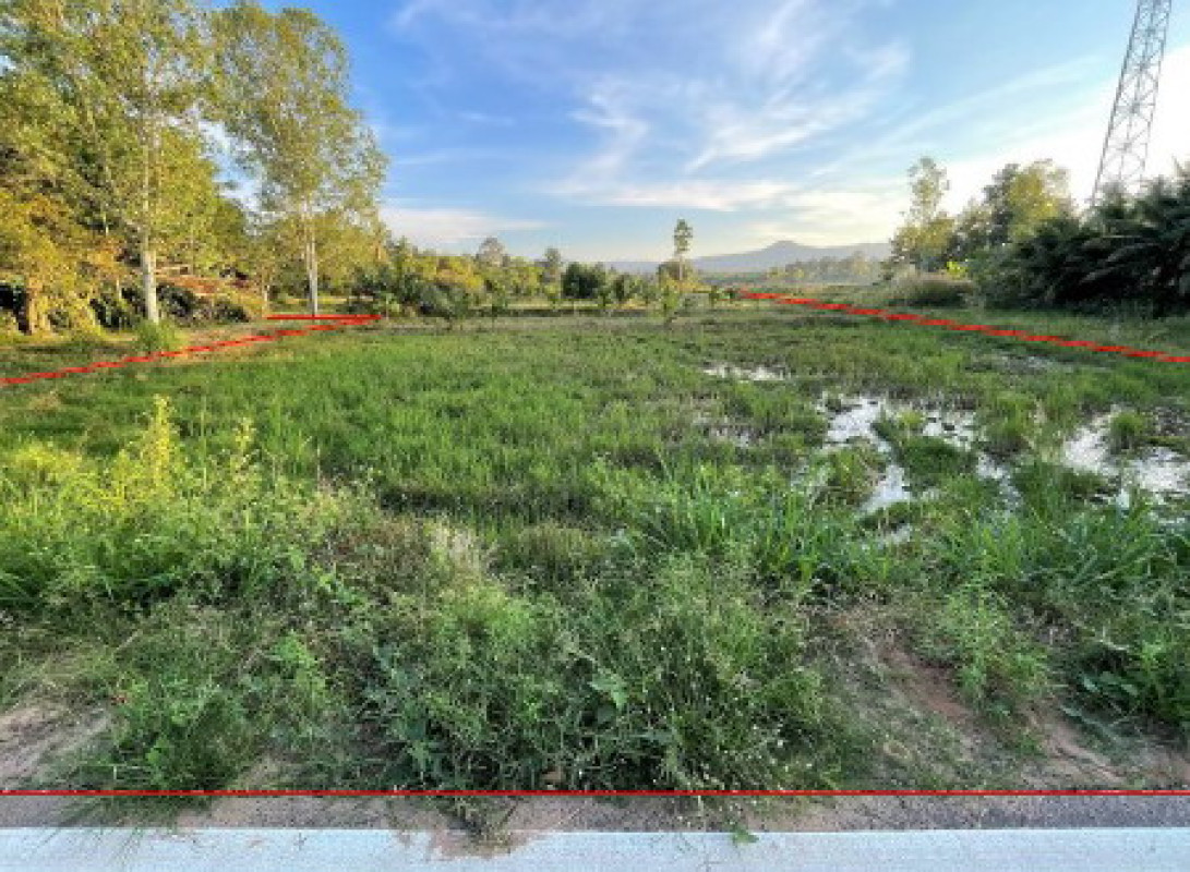 Residential land/lot Ubon Ratchathani Nam Yuen Dom Pradit 483152