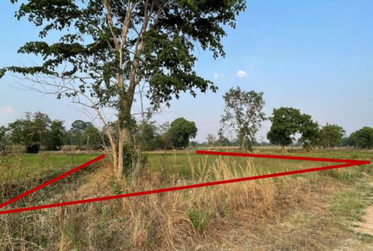 ที่ดินเปล่า อุบลราชธานี เดชอุดม นาส่วง 432185