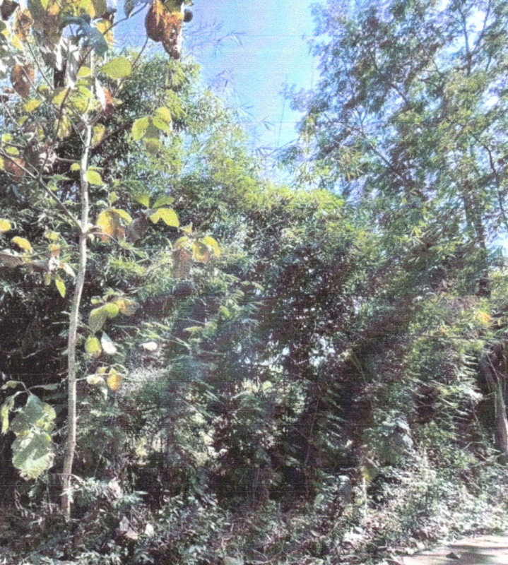 Residential land/lot Uttaradit Mueang Uttaradit Tha Sao 50400