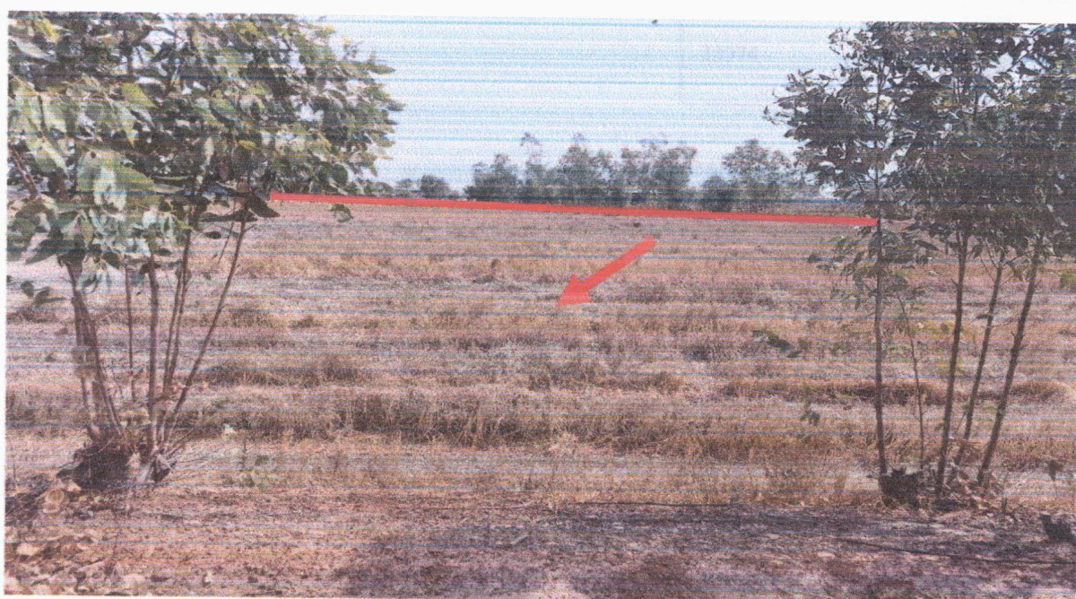 Residential land/lot Surin Chumphon Buri Si Narong 387140