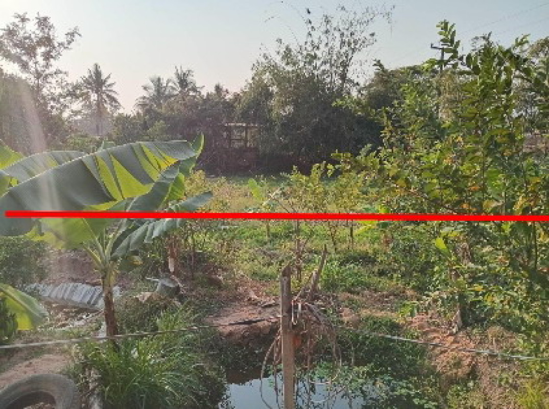 Residential land/lot Maha Sarakham Chiang Yuen Ku Thong 90000