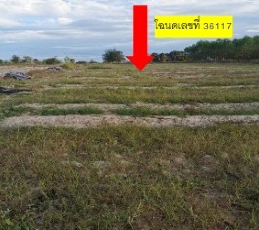Residential land/lot Kalasin Somdet Nong Waeng 493000