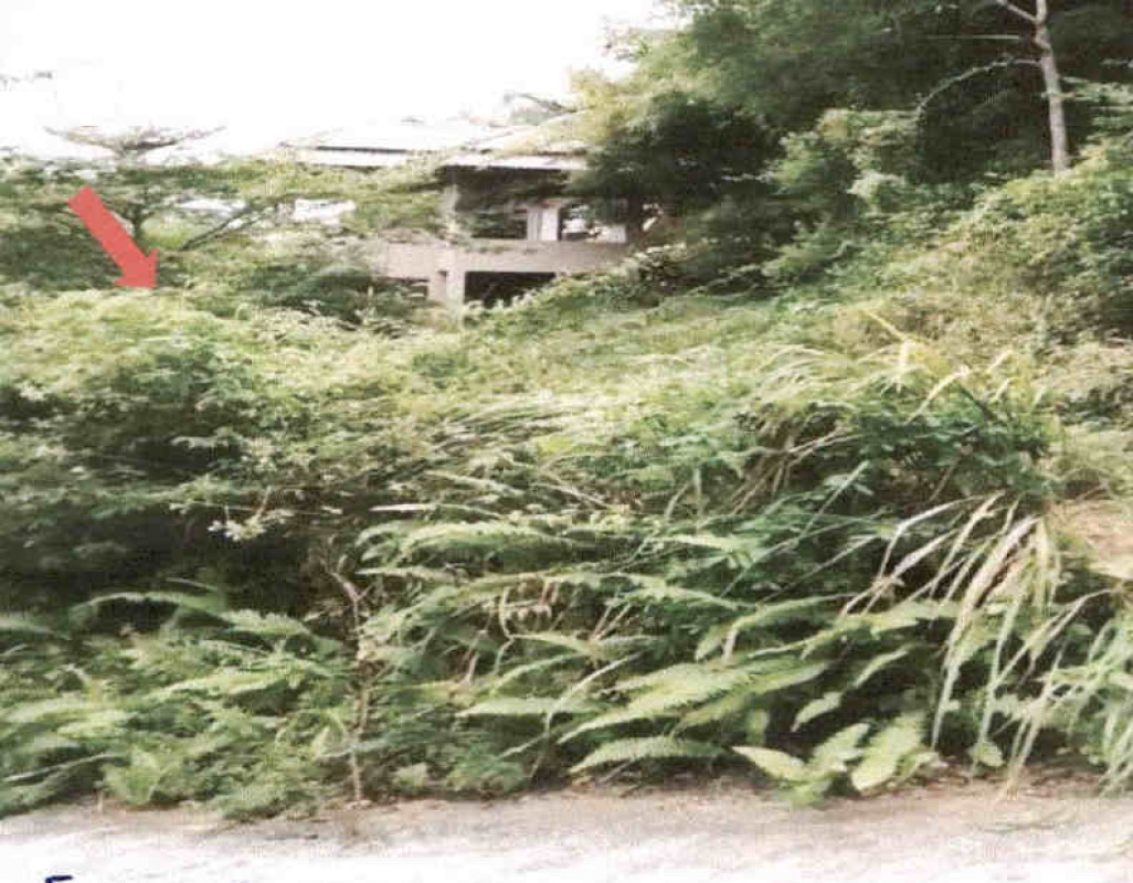 Residential land/lot Surat Thani Ko Samui Bo Phut 18434760