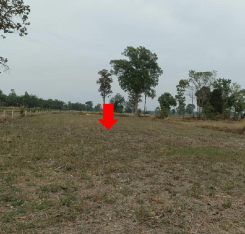 Residential land/lot Ubon Ratchathani Nam Khun Ta Kao 1673650