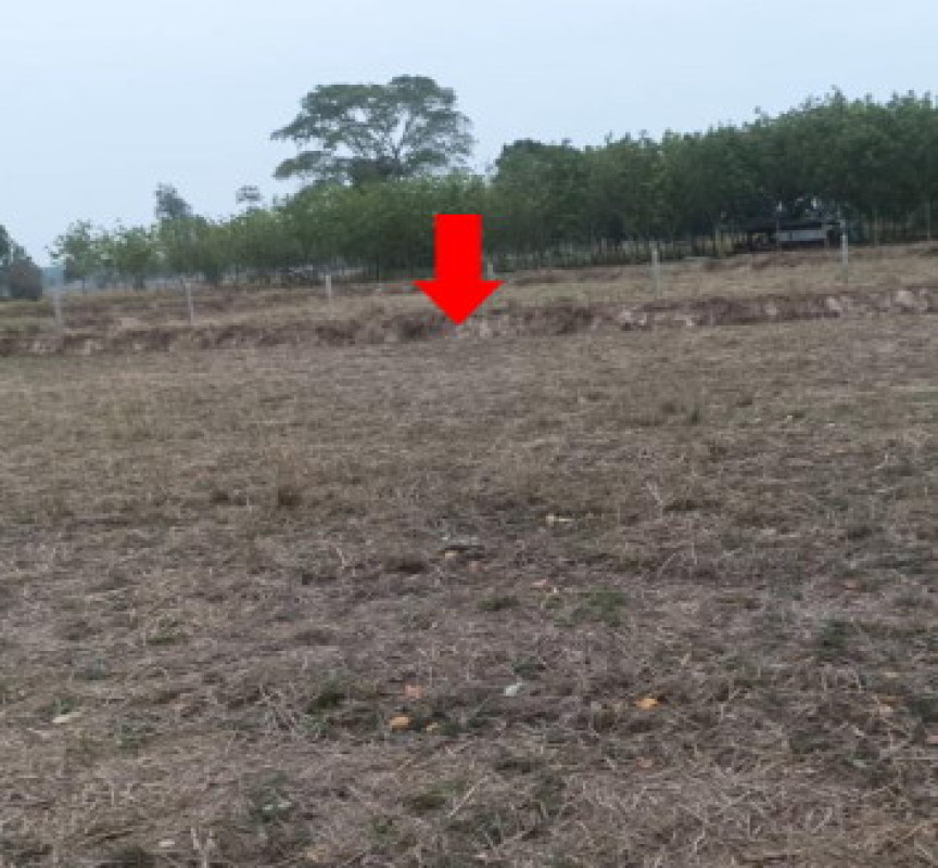 Residential land/lot Ubon Ratchathani Nam Khun Ta Kao 124540