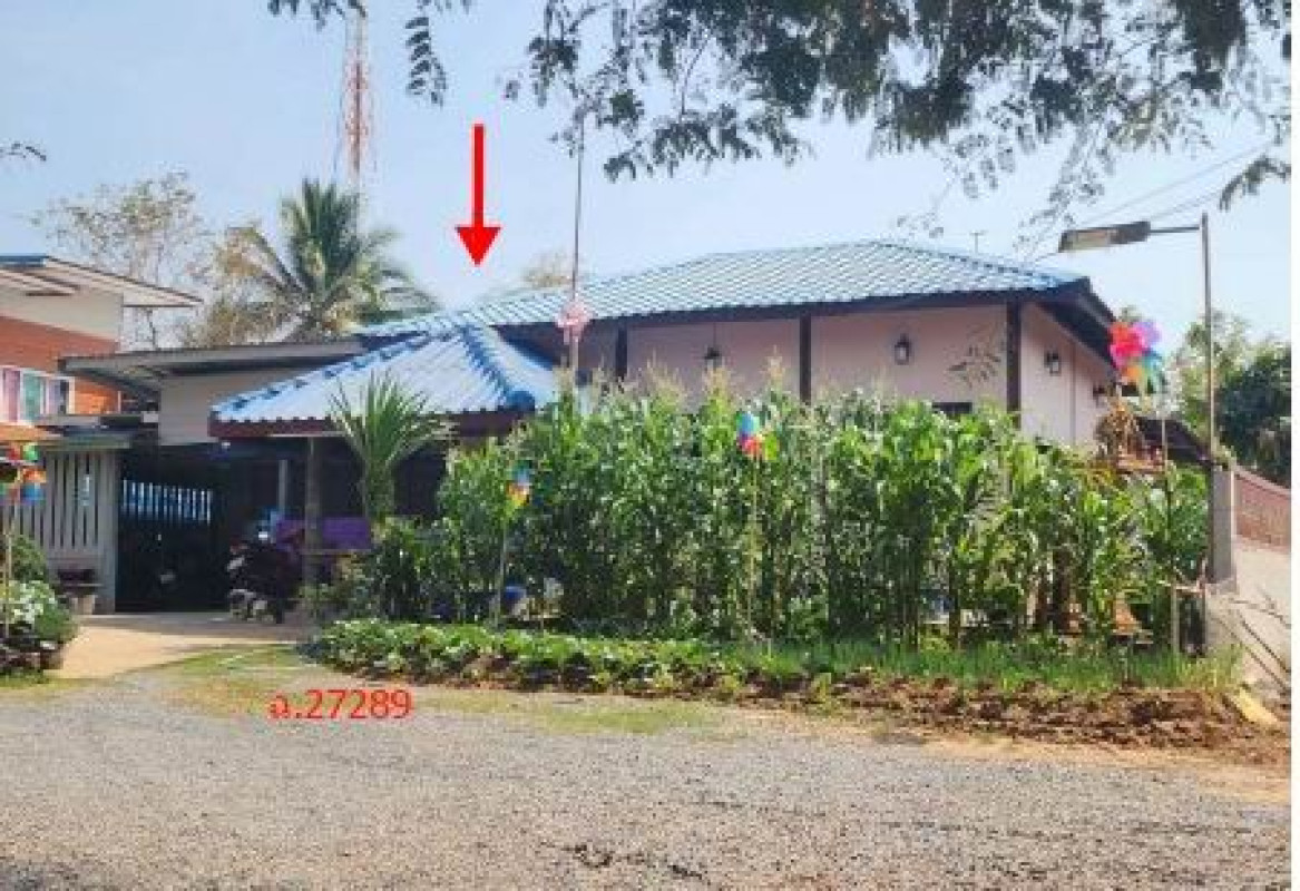 บ้านเดี่ยว บุรีรัมย์ ลำปลายมาศ โคกสะอาด 654728