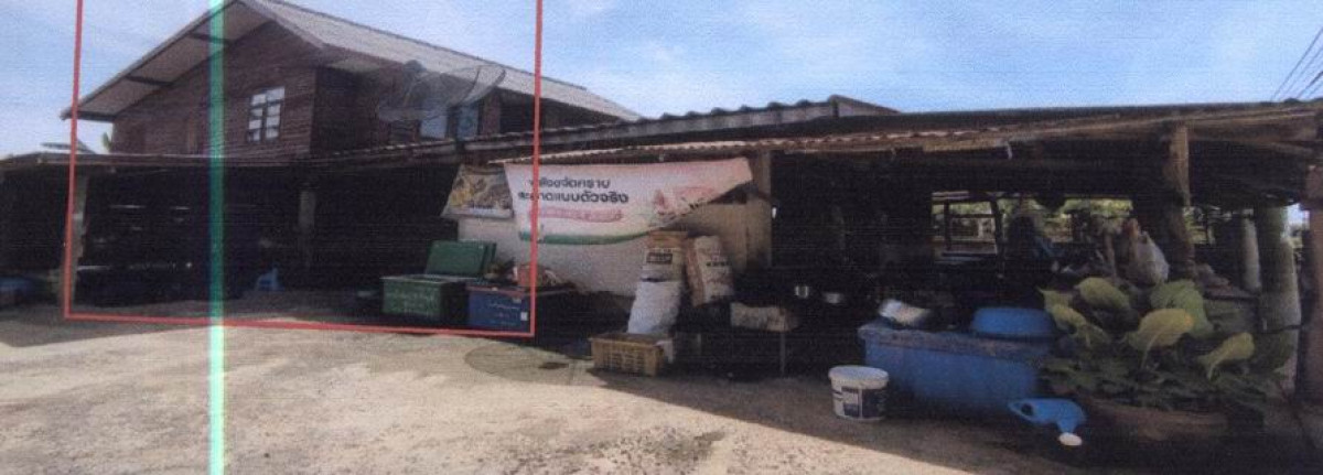 บ้านเดี่ยว บุรีรัมย์ ลำปลายมาศ เมืองแฝก 1030495