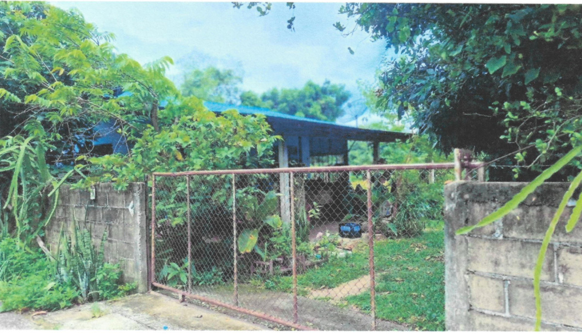 Single house Chiang Rai Chiang Khong Bunrueang 384125