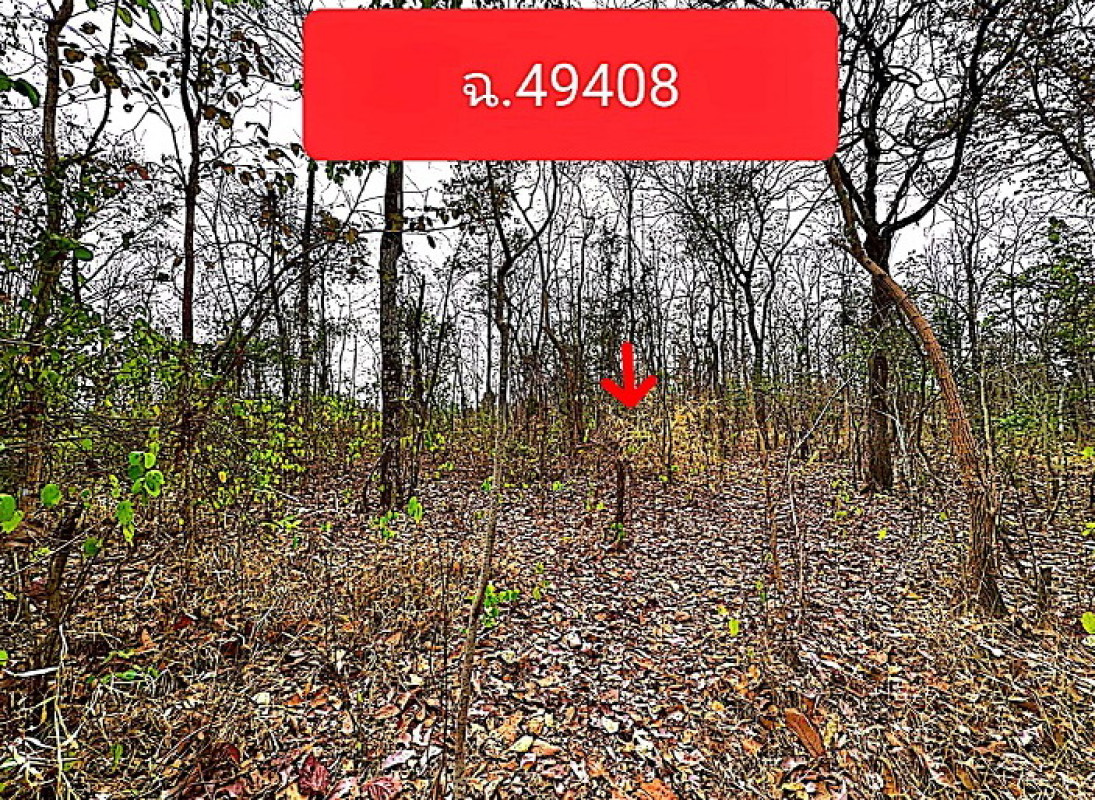 ที่ดินเปล่า สกลนคร อากาศอำนวย อากาศ 244600