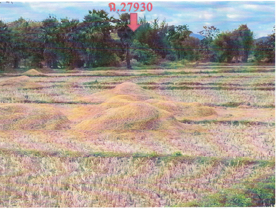 Residential land/lot Lampang Soem Ngam Soem Sai 176400