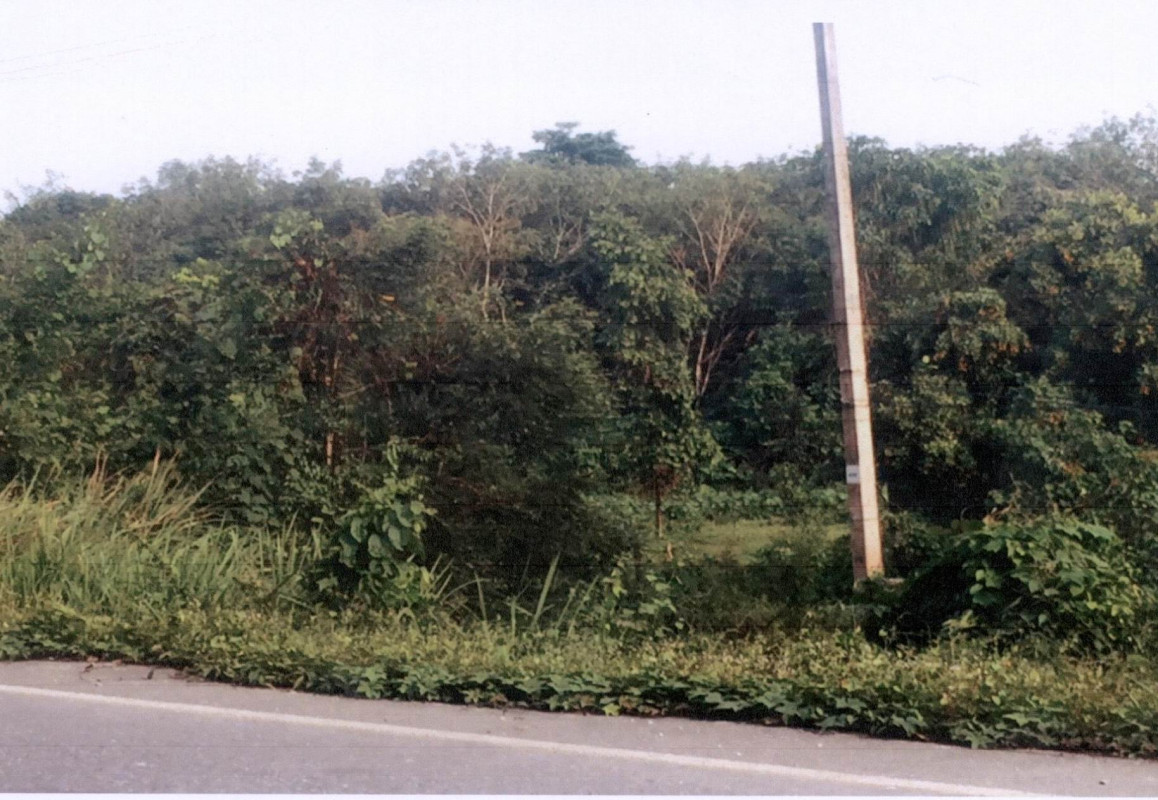 Residential land/lot Narathiwat Rueso Batong 1190700