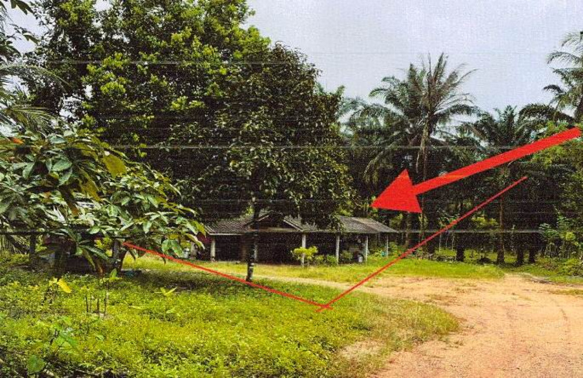 บ้านเดี่ยว กระบี่ เขาพนม เขาพนม 333120