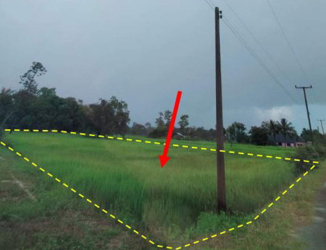 Residential land/lot Ubon Ratchathani Det Udom Pa Mong 235651
