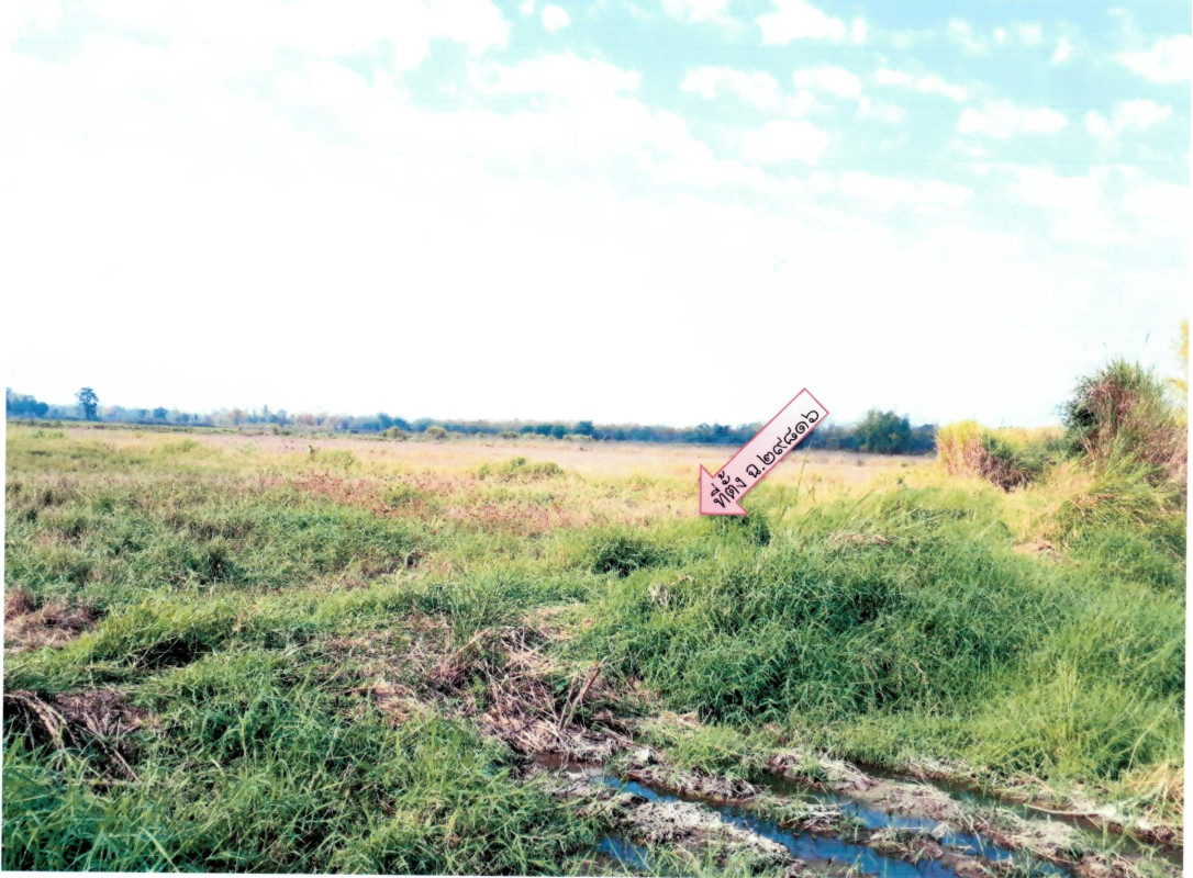 Residential land/lot Chiang Rai Chiang Khong Bunrueang 77000