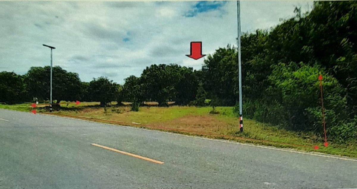 Residential land/lot Buri Ram Mueang Buri Ram Chum Het 528000