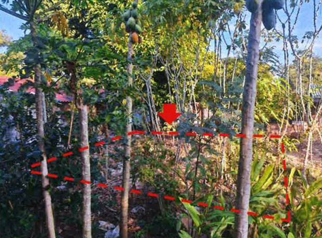 Residential land/lot Prachin Buri Kabin Buri Lat Takhian 5200