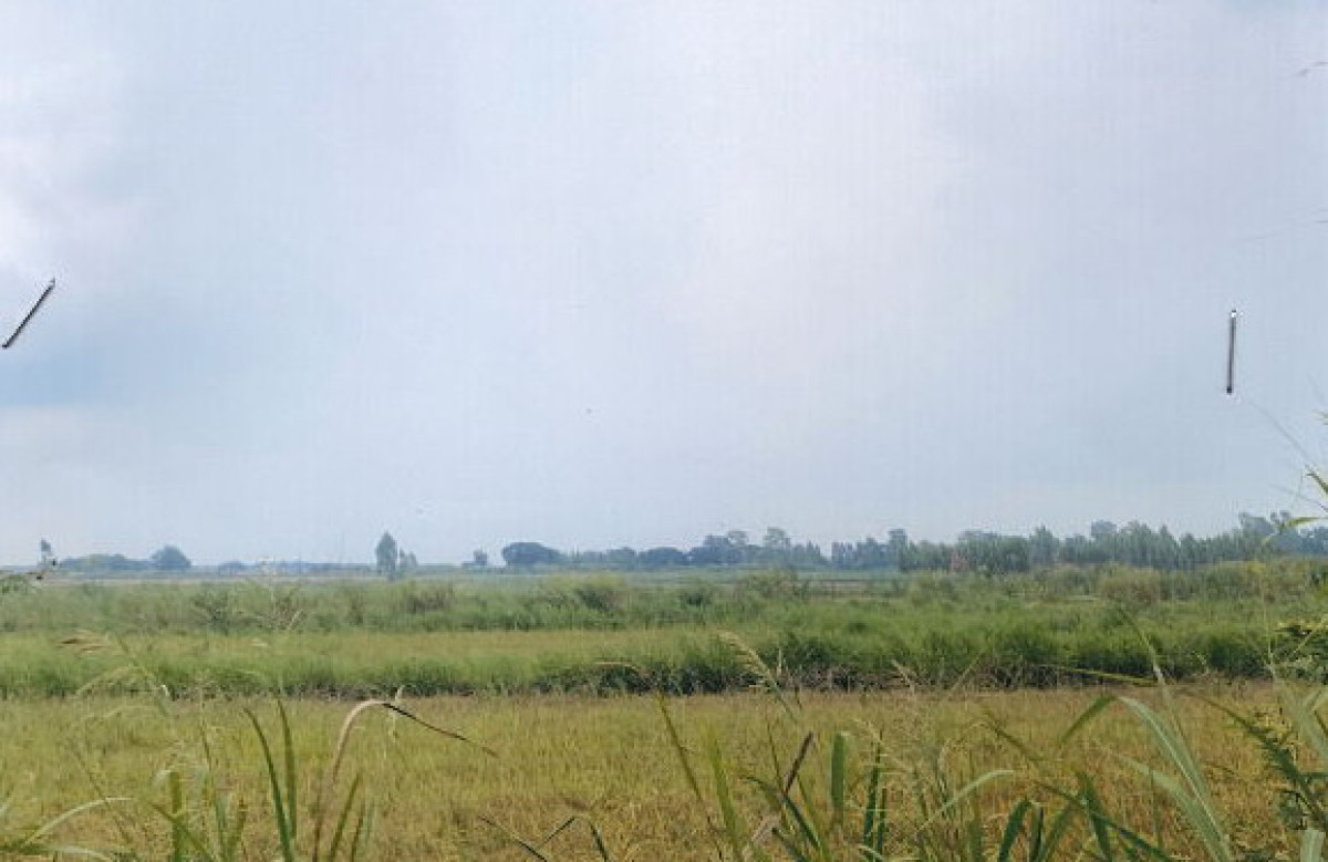 ที่ดินเปล่า สุโขทัย กงไกรลาศ กง 275125