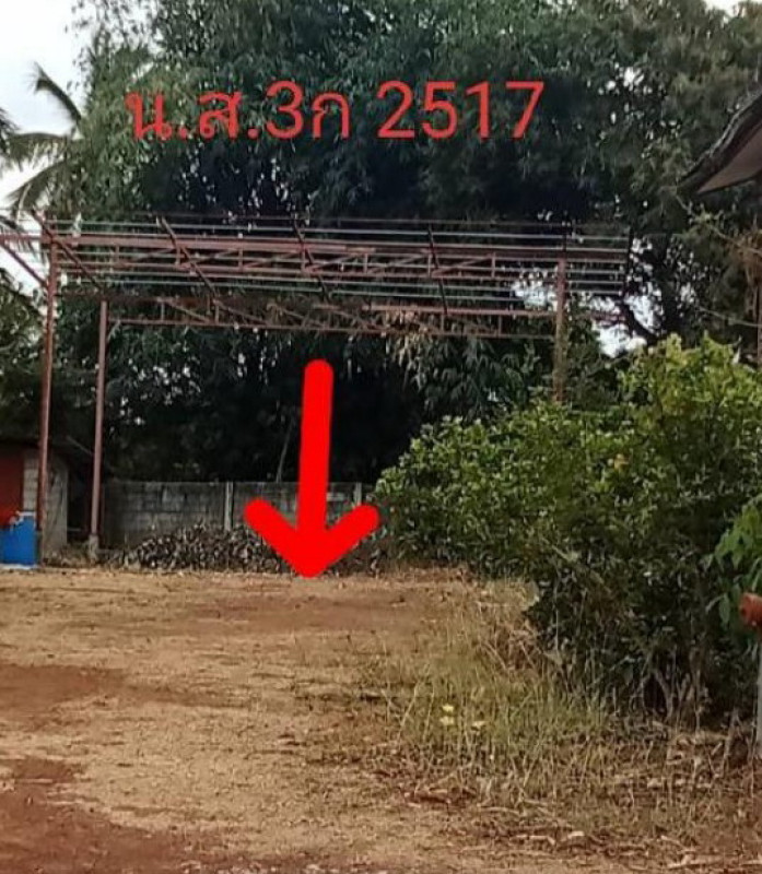 ที่ดินเปล่า สกลนคร วาริชภูมิ ปลาโหล 101000
