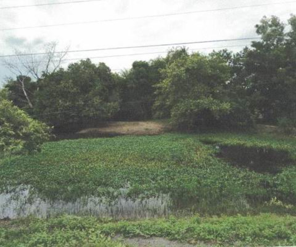 Residential land/lot Maha Sarakham Wapi Pathum Kham Pom 605200