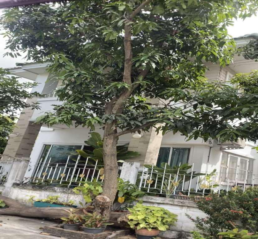 บ้านเดี่ยว นนทบุรี บางบัวทอง ลำโพ 2541600