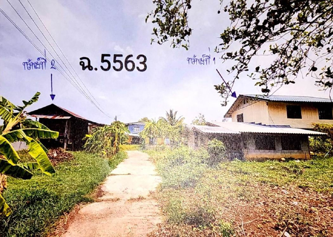 Single house Buri Ram Lam Plai Mat Khok Lam 1874034
