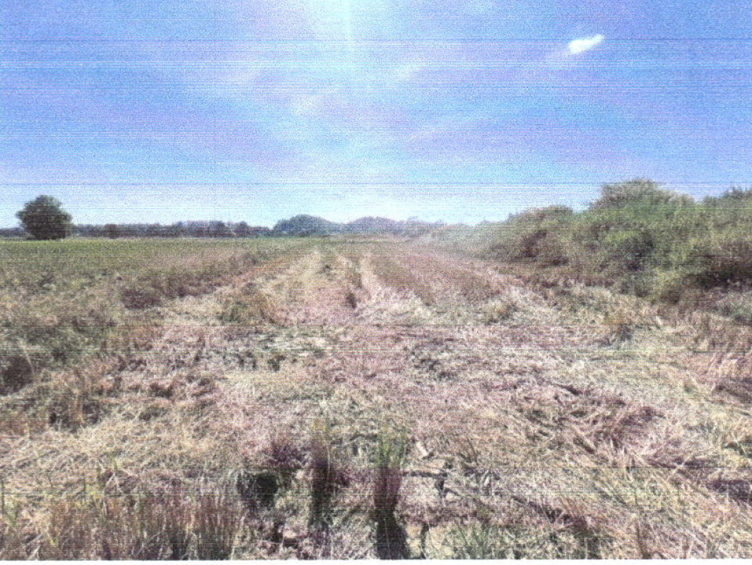 Residential land/lot Uttaradit Mueang Uttaradit Nam Rit 128800