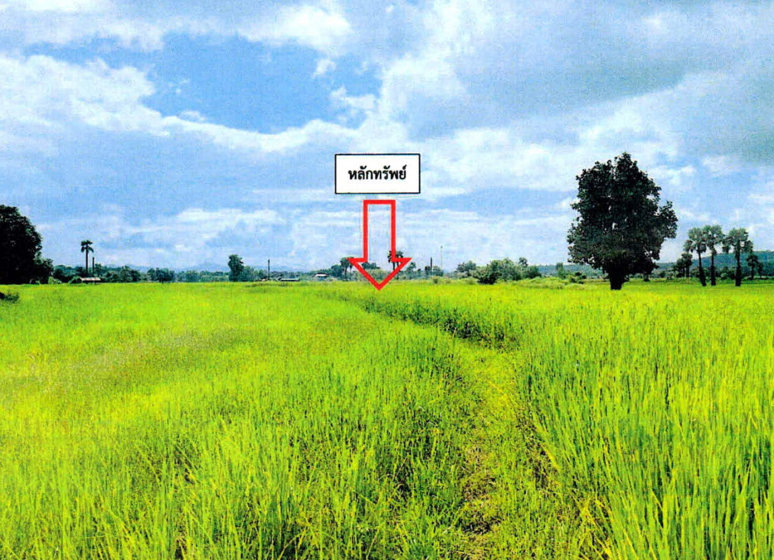 Residential land/lot Lampang Mae Tha Hua Suea 10665
